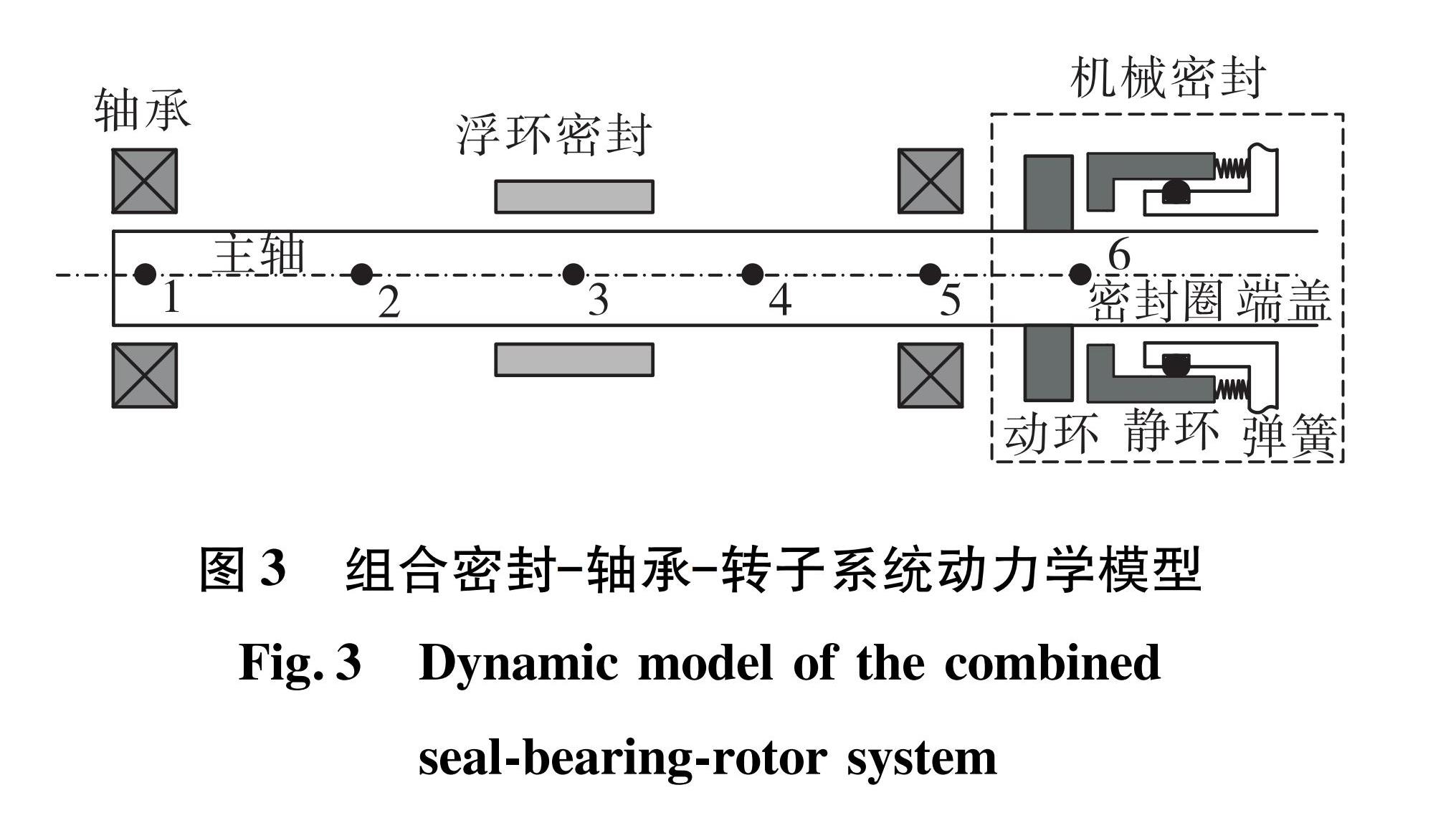 图3 组合密封—轴承—转子系统动力学模型<br/>Fig.3 Dynamic model of the combined seal-bearing-rotor system